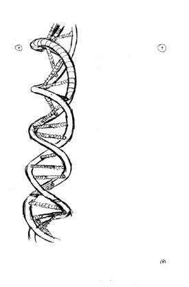 beefed up helix